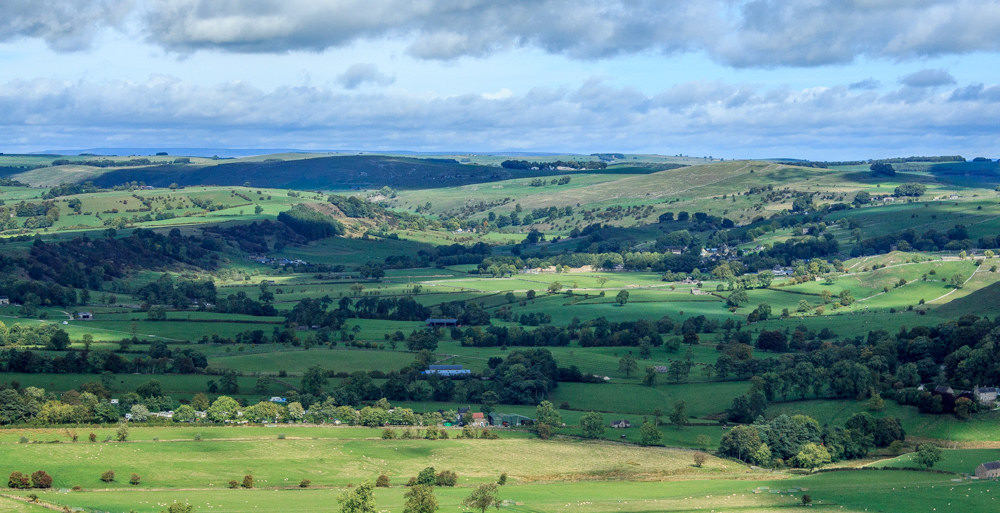 Carder Low